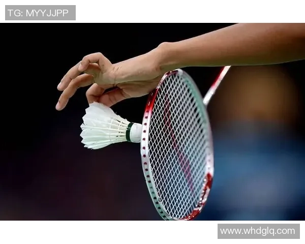 羽毛球赛事战术创新及运动员适应性